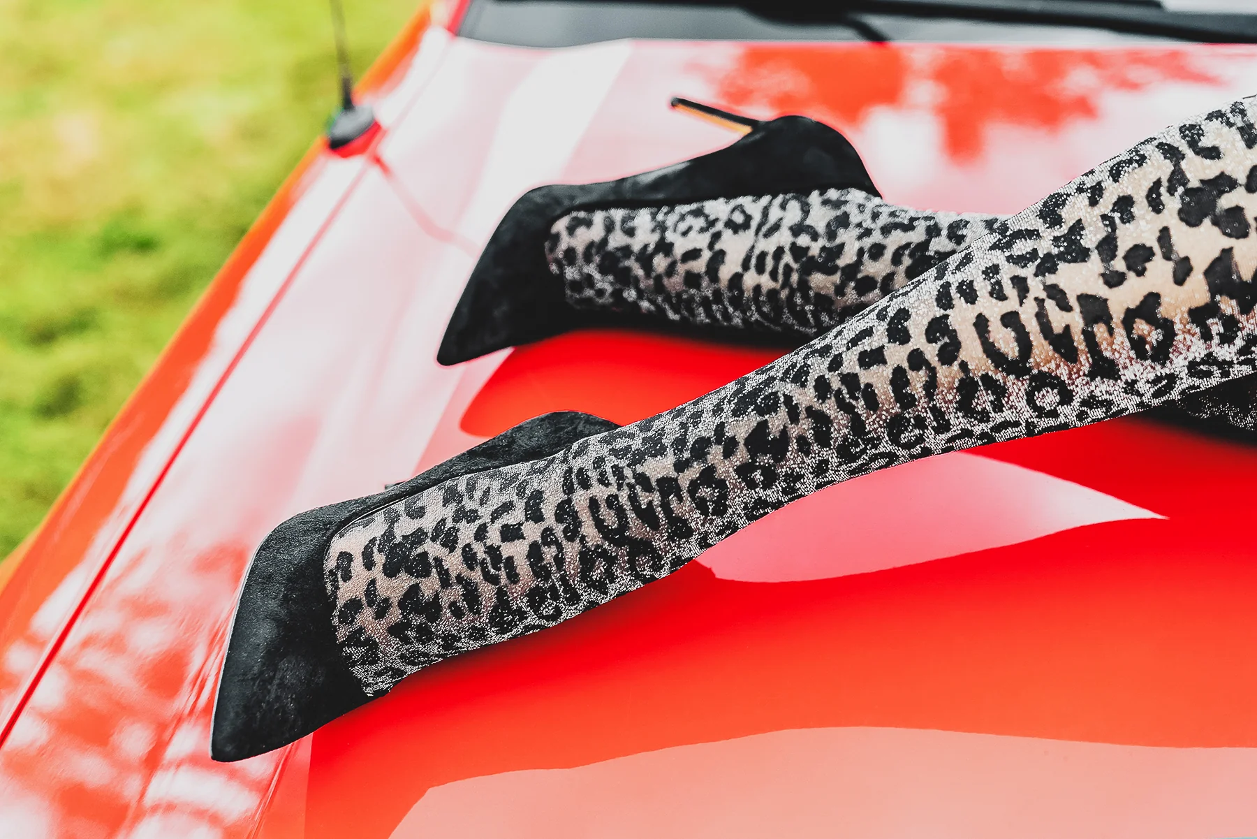 Leopard Print Shimmer Sheer Tights – Image 8